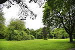 Westfriedhof
